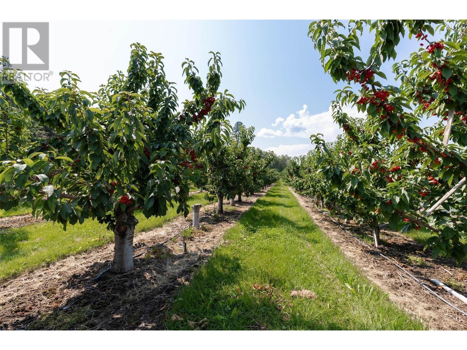 1429-1409 Teasdale Road, Kelowna, British Columbia  V1P 1C8 - Photo 50 - 10338780