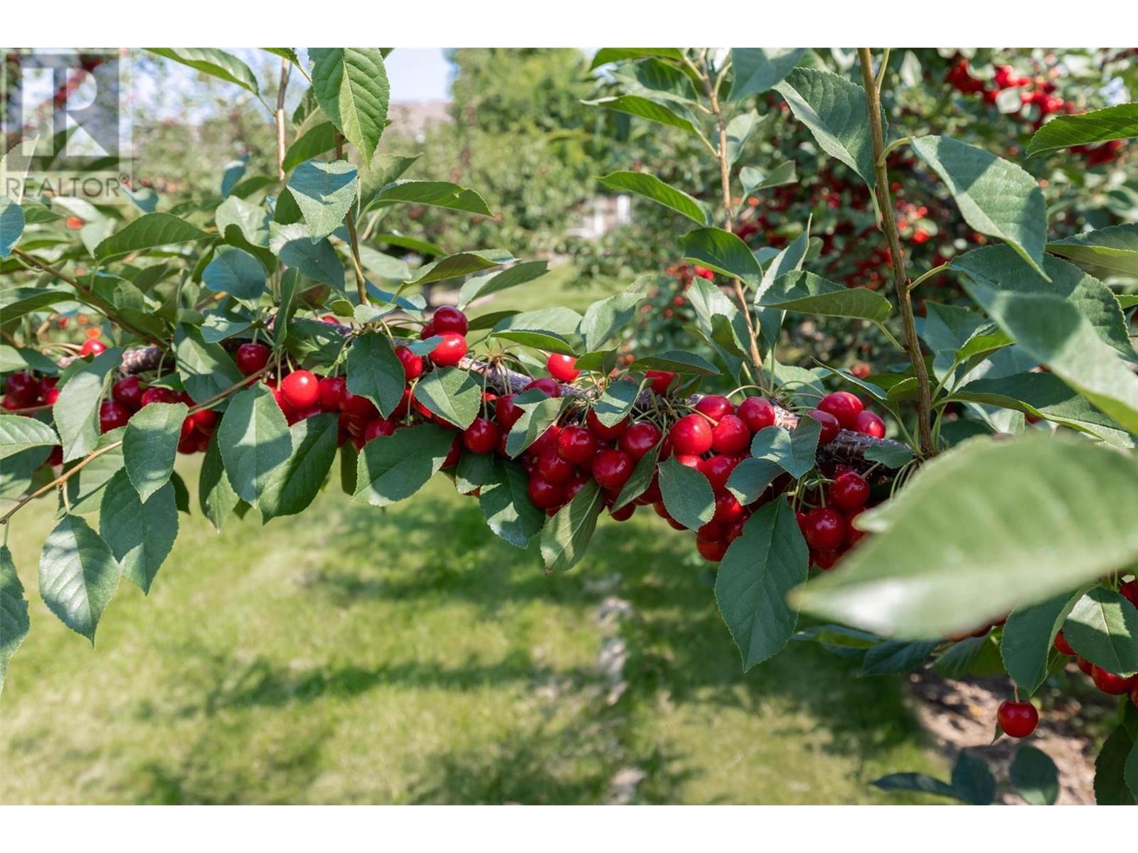 1429-1409 Teasdale Road, Kelowna, British Columbia  V1P 1C8 - Photo 57 - 10338780