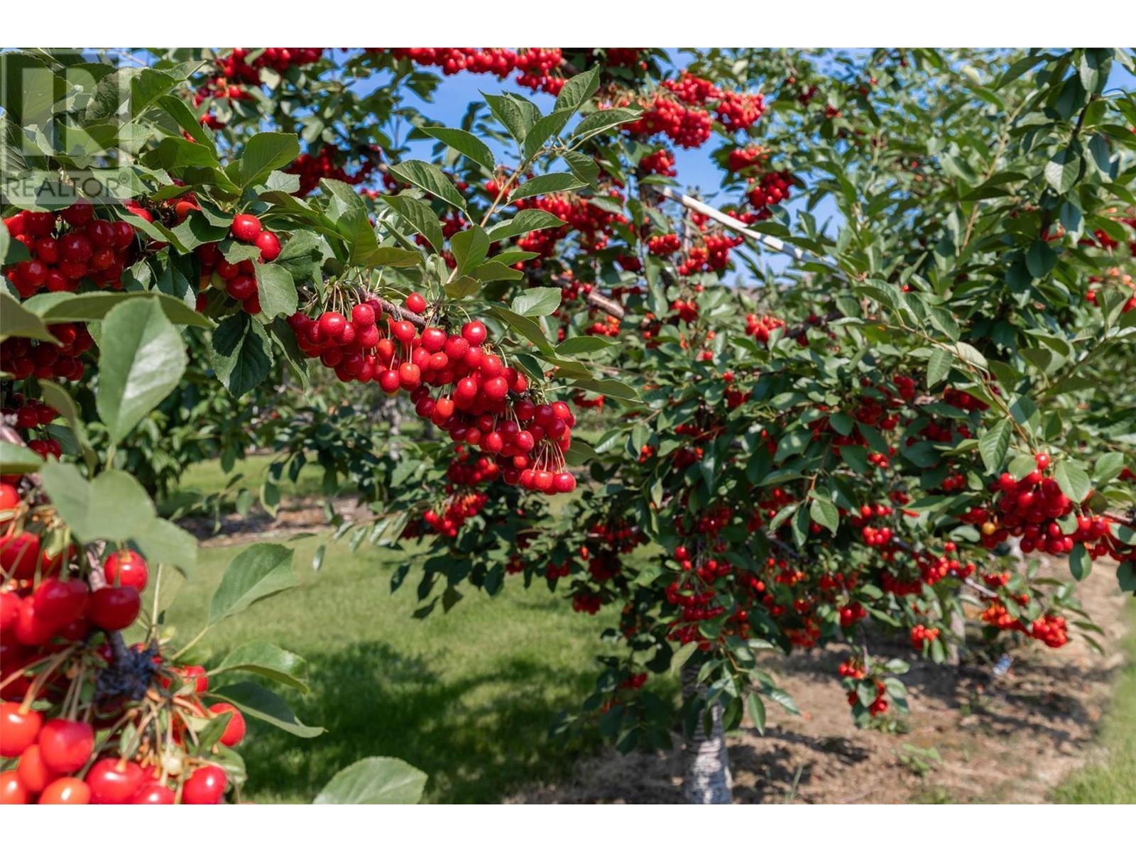 1429-1409 Teasdale Road, Kelowna, British Columbia  V1P 1C8 - Photo 58 - 10338780