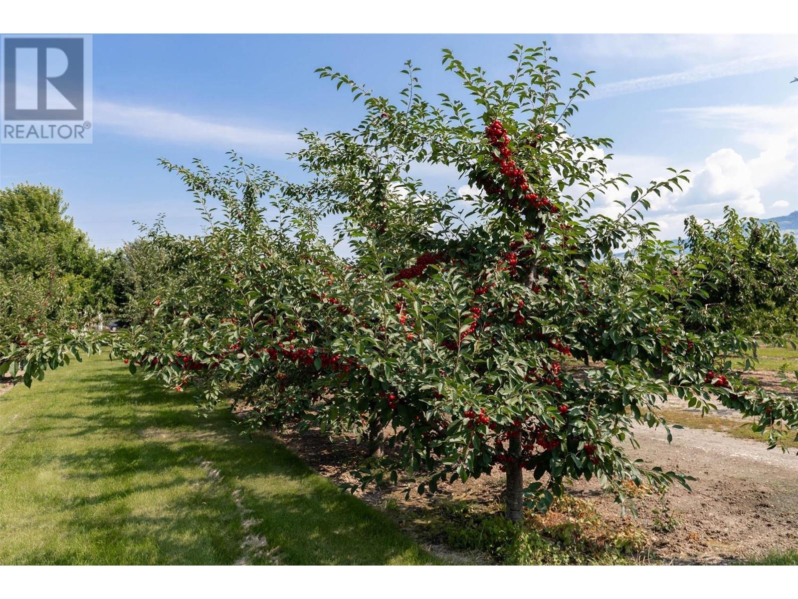 1429-1409 Teasdale Road, Kelowna, British Columbia  V1P 1C8 - Photo 56 - 10338780