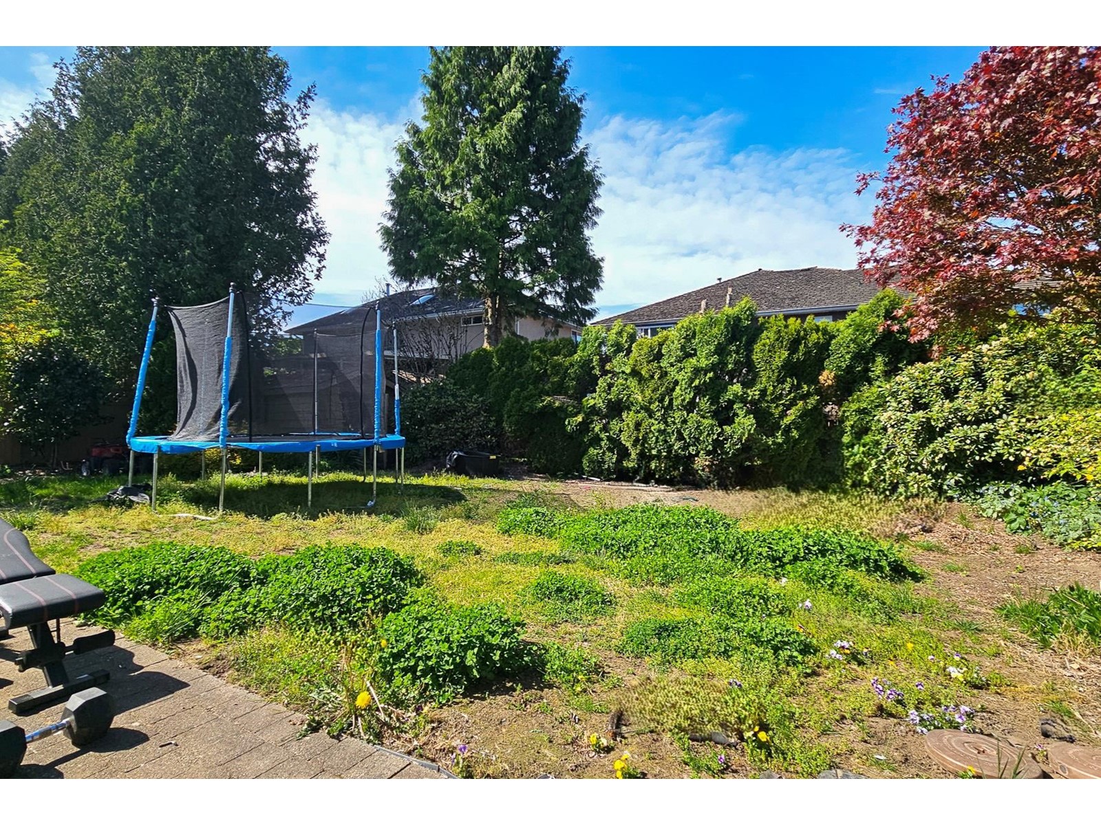 15703 101 Avenue, Surrey, British Columbia  V4N 2S5 - Photo 16 - R2976970