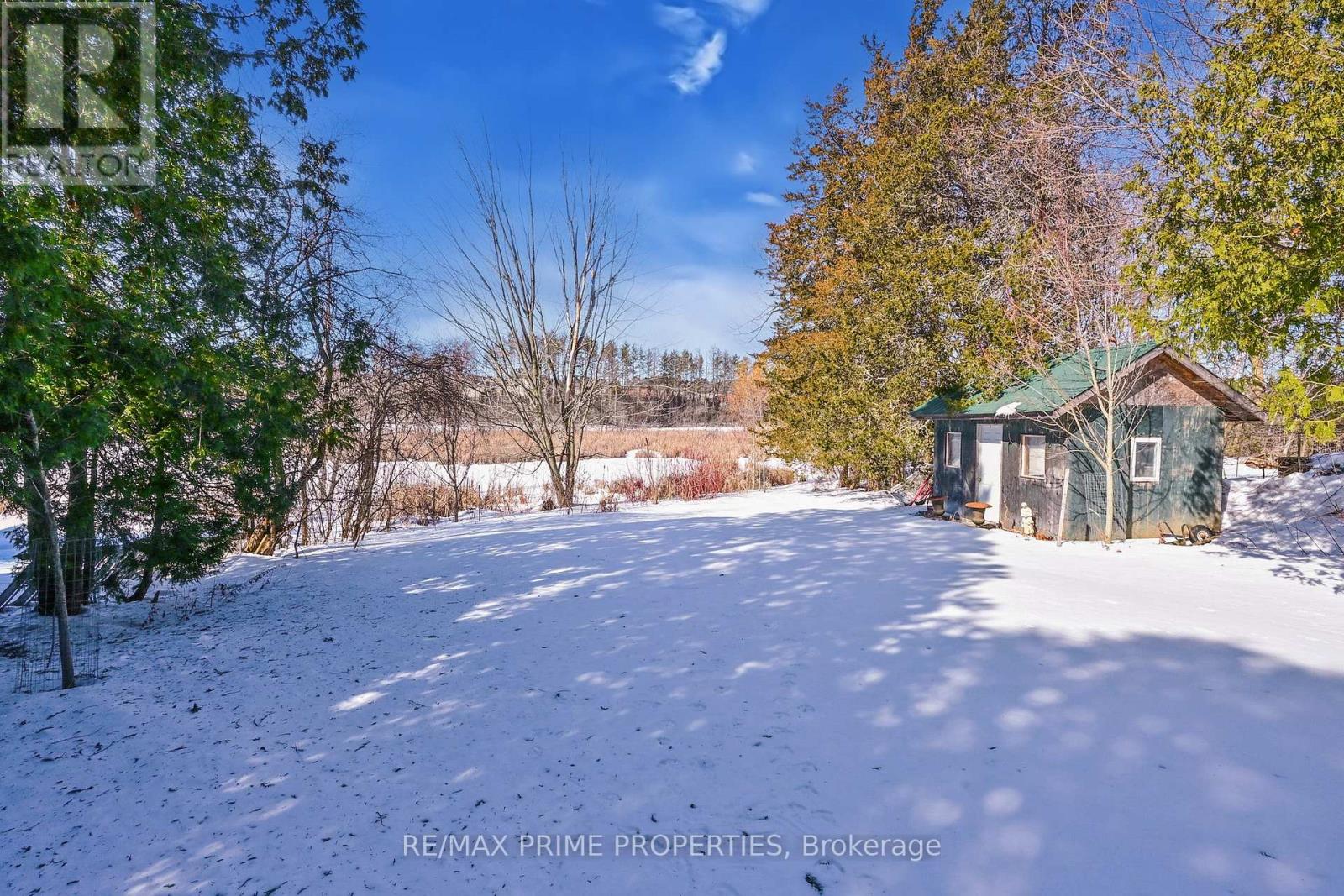 110 Snively Street, Richmond Hill, Ontario  L4E 3E8 - Photo 38 - N12015929