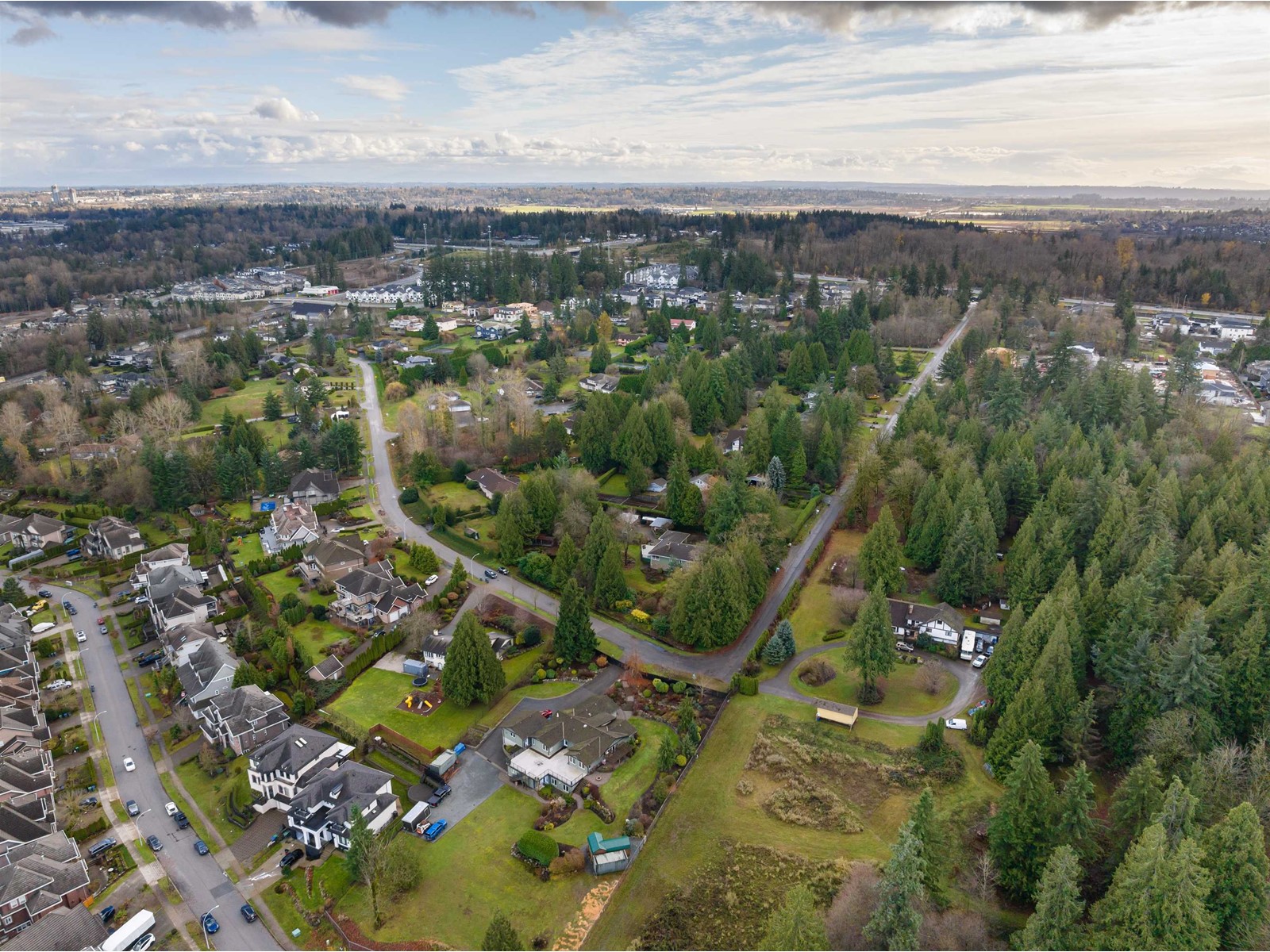 10276 173 Street, Surrey, British Columbia  V4N 4H8 - Photo 5 - C8067468