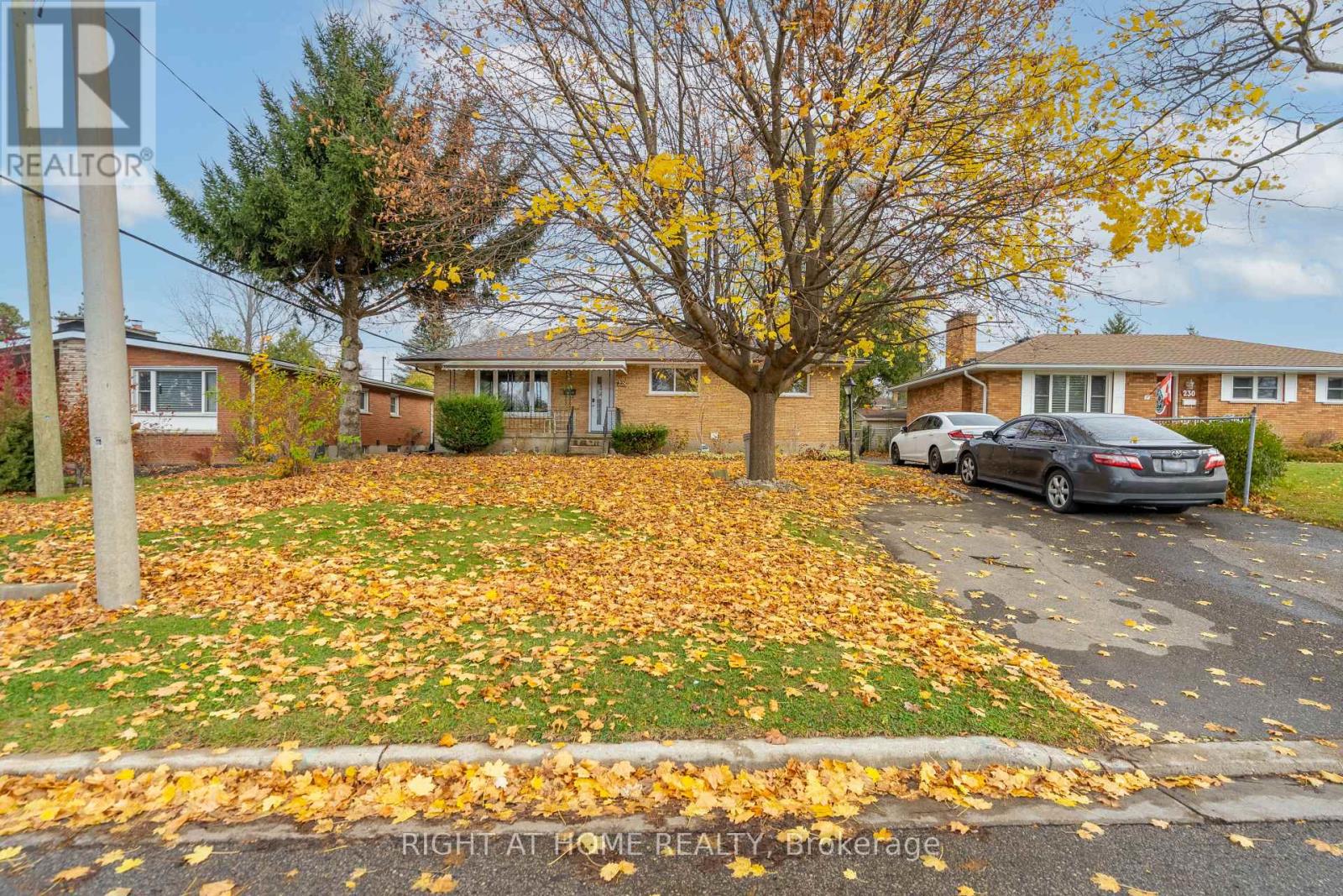 Main Floor - 228 King Edward Avenue, London South (South J), Ontario  N5Z 3T7 - Photo 2 - X12015884