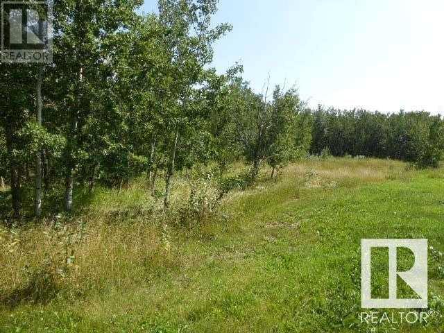 #40 26555 Twp 481, Calmar, Alberta  T0C 0V0 - Photo 9 - A2201155