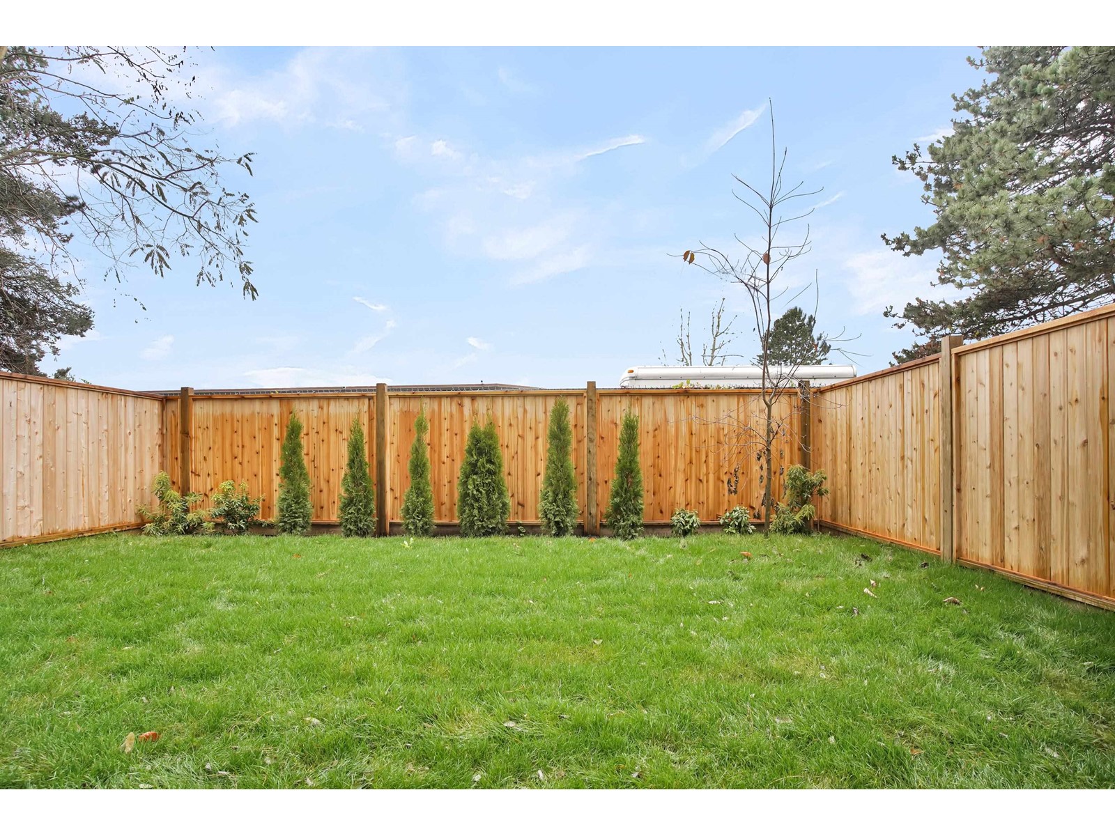 2 2525 156 Street, Surrey, British Columbia  V4P 1C7 - Photo 8 - R2976092