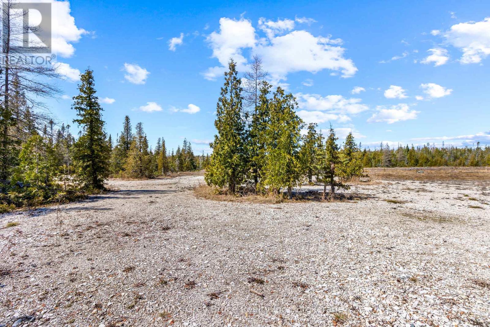 128 Little Pine Drive, Northern Bruce Peninsula, Ontario  N0H 1Z0 - Photo 11 - X12016055