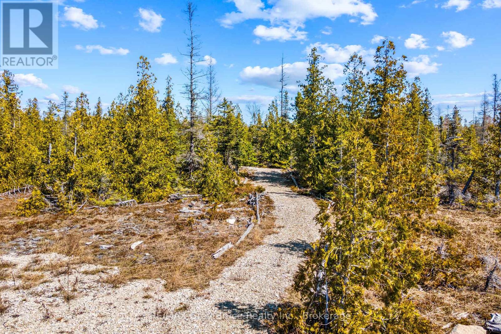 128 Little Pine Drive, Northern Bruce Peninsula, Ontario  N0H 1Z0 - Photo 18 - X12016055