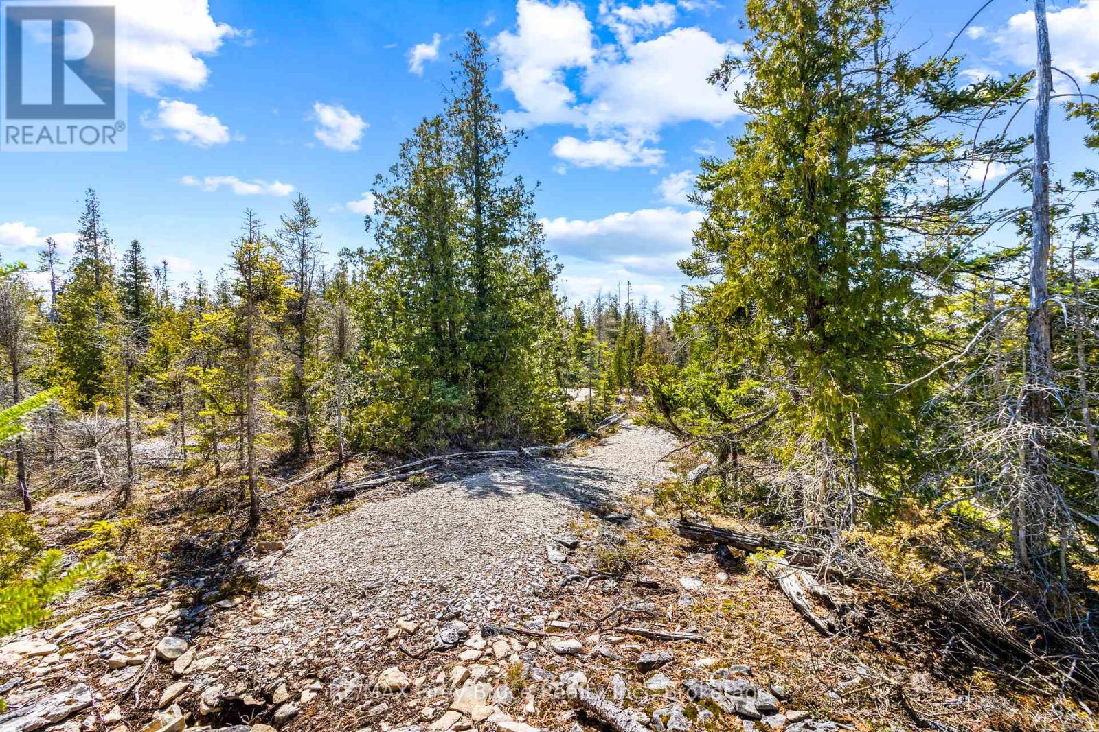 128 Little Pine Drive, Northern Bruce Peninsula, Ontario  N0H 1Z0 - Photo 19 - X12016055
