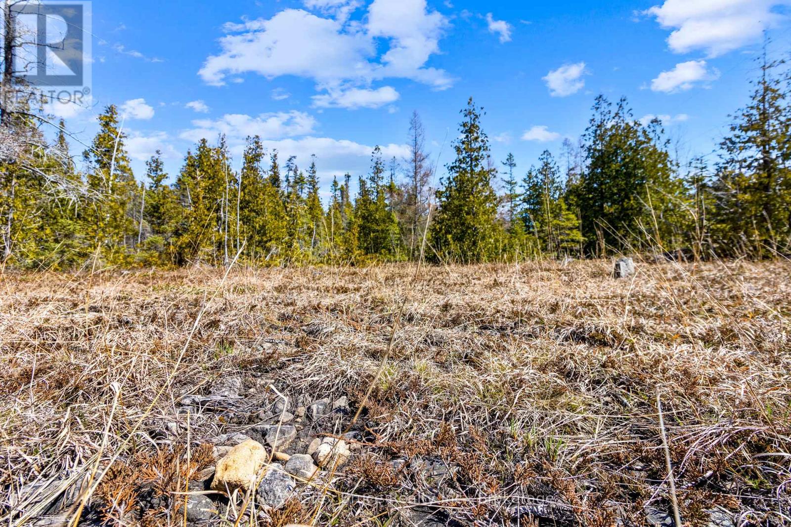 128 Little Pine Drive, Northern Bruce Peninsula, Ontario  N0H 1Z0 - Photo 24 - X12016055