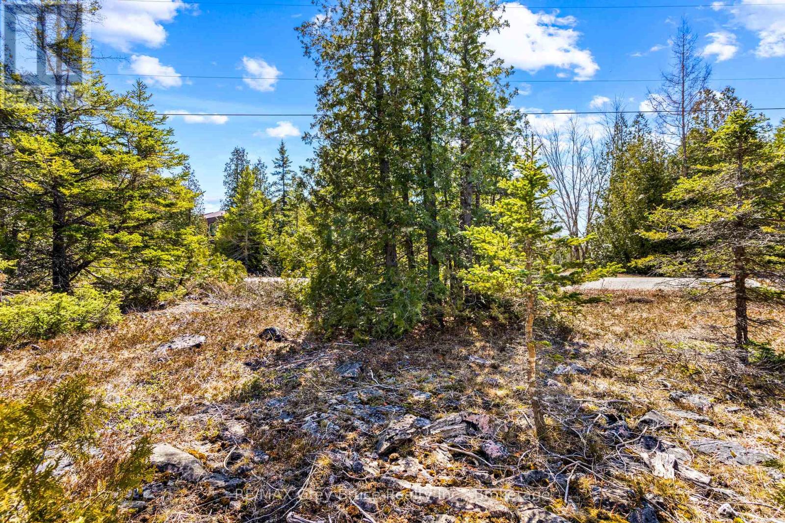 128 Little Pine Drive, Northern Bruce Peninsula, Ontario  N0H 1Z0 - Photo 25 - X12016055