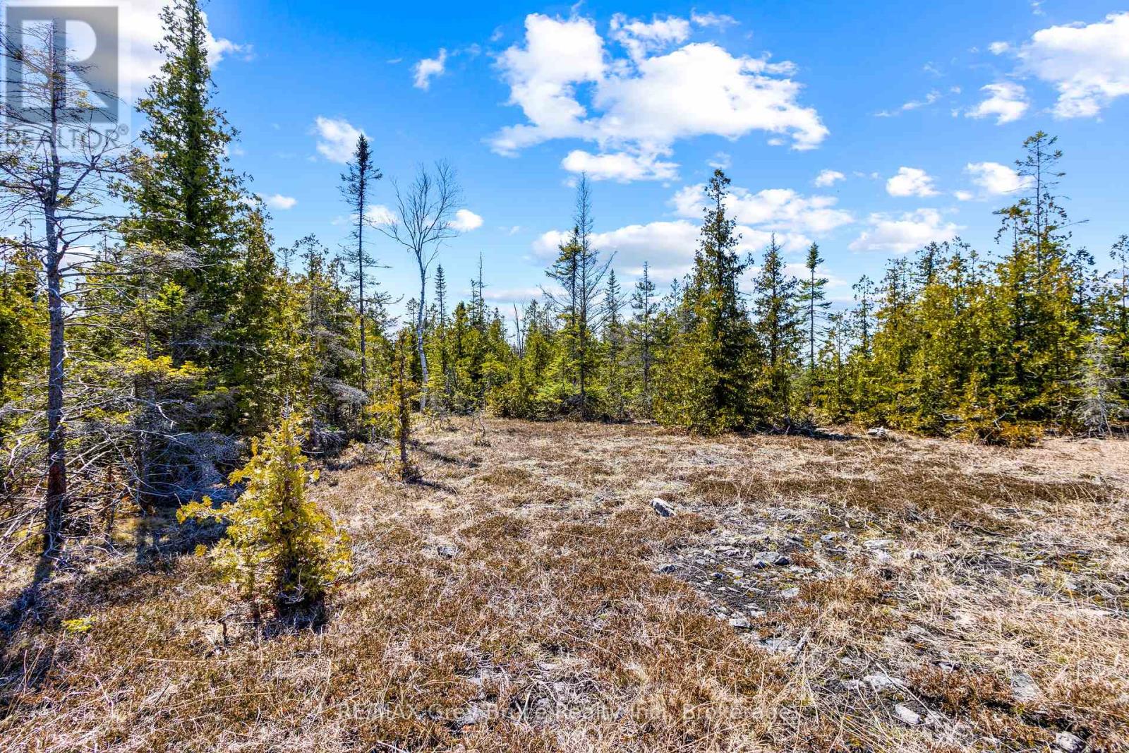 128 Little Pine Drive, Northern Bruce Peninsula, Ontario  N0H 1Z0 - Photo 27 - X12016055