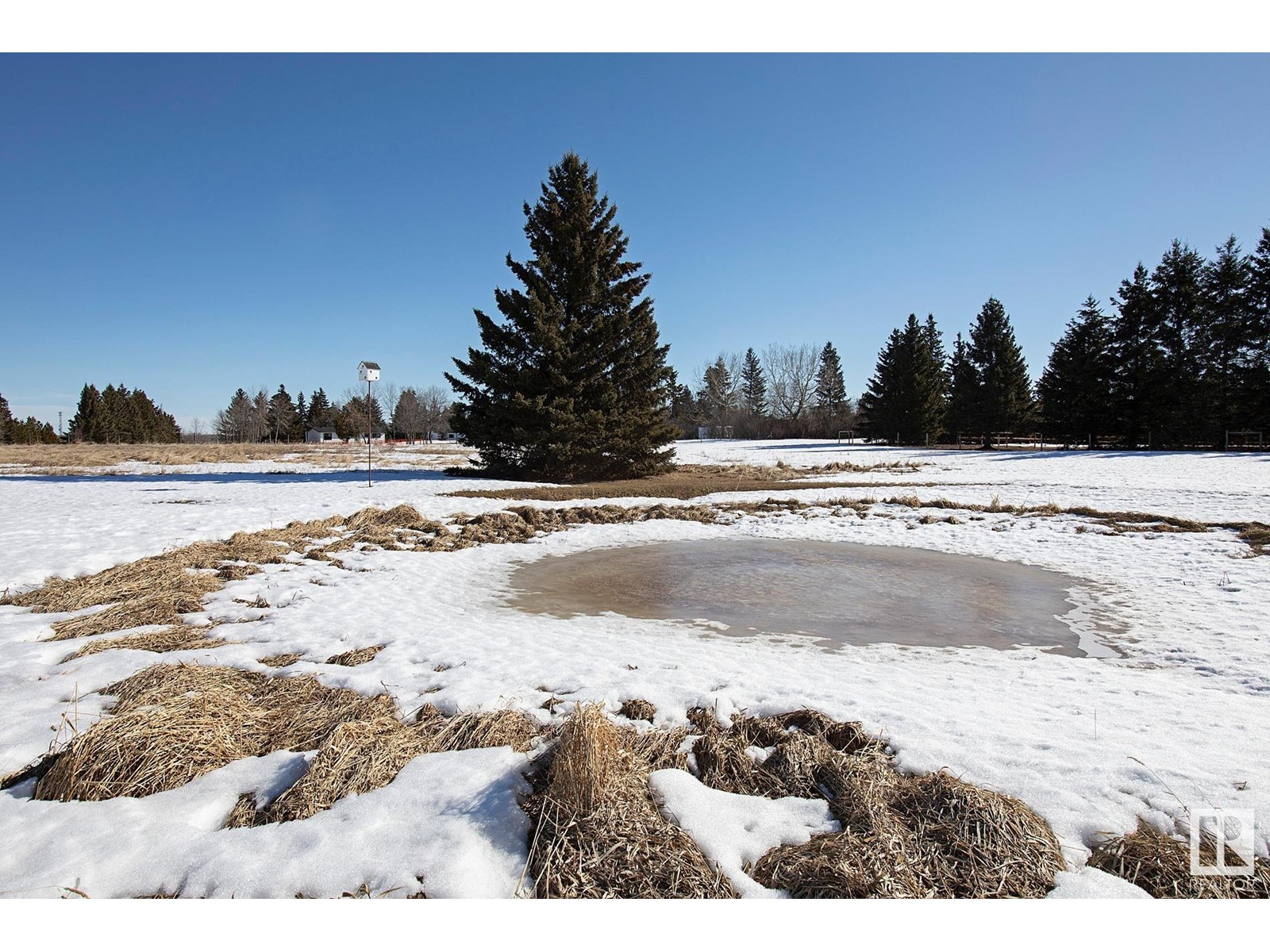 #278 52307 Rge Road 213, Rural Strathcona County, Alberta  T8G 1C1 - Photo 52 - E4425382