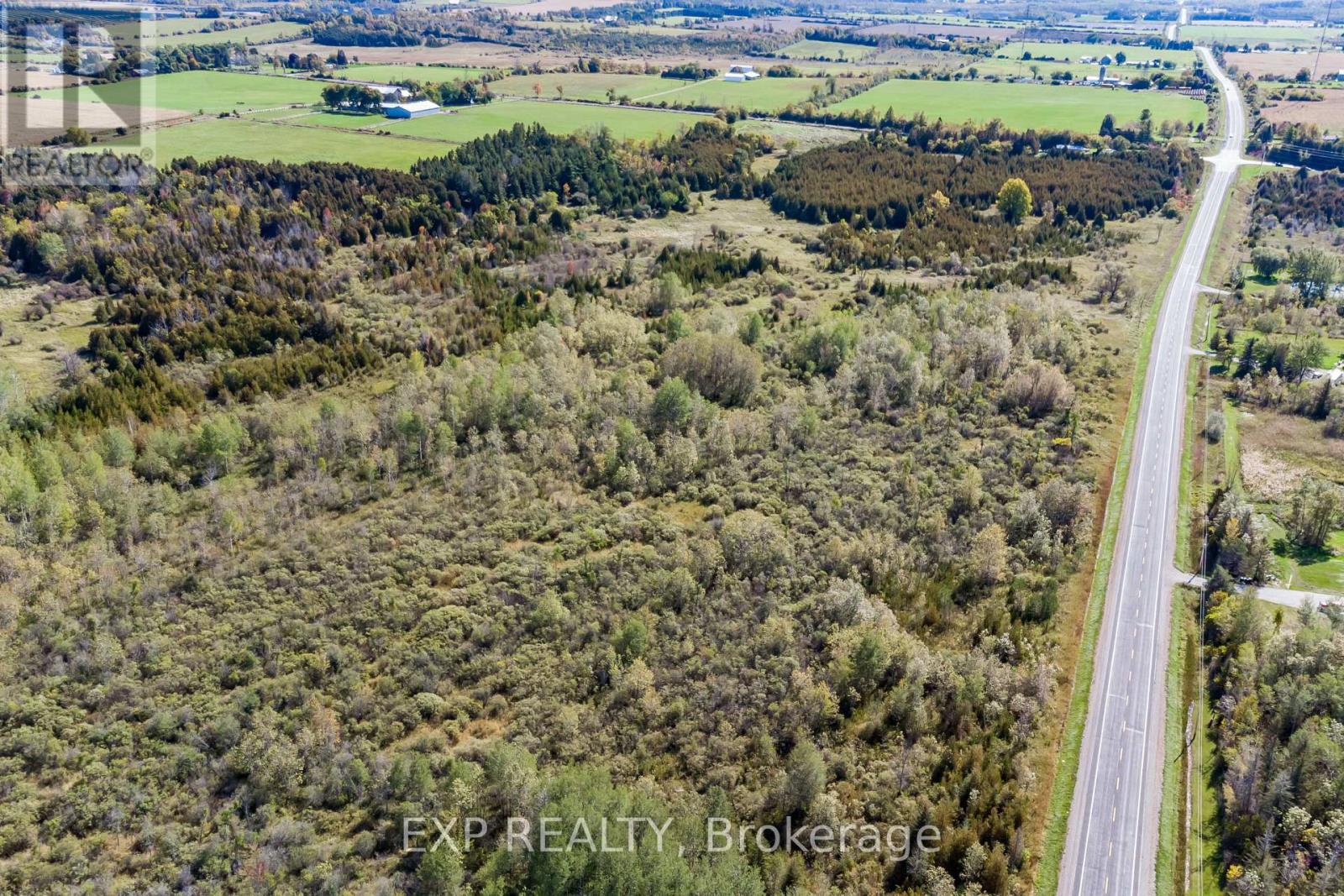 N/a Park Road, Georgina, Ontario  L0E 1R0 - Photo 13 - N12016470