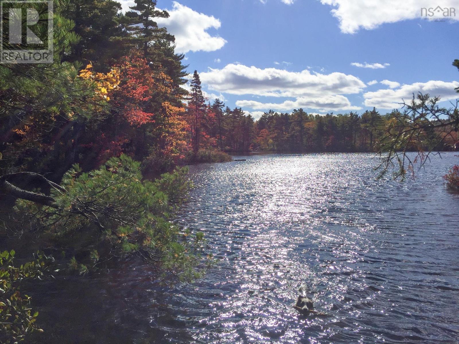 133 Bradford Place, Bedford, Nova Scotia  B4B 0R7 - Photo 42 - 202504758