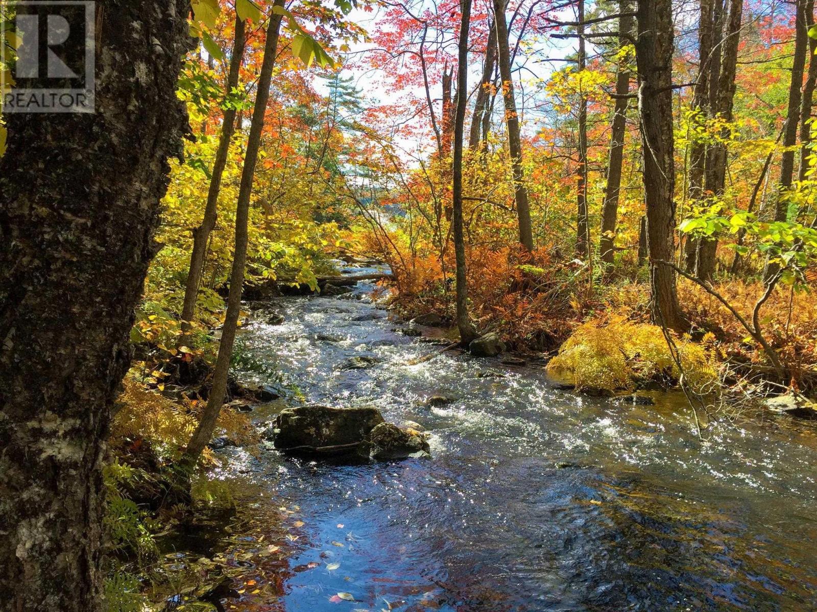 133 Bradford Place, Bedford, Nova Scotia  B4B 0R7 - Photo 43 - 202504758