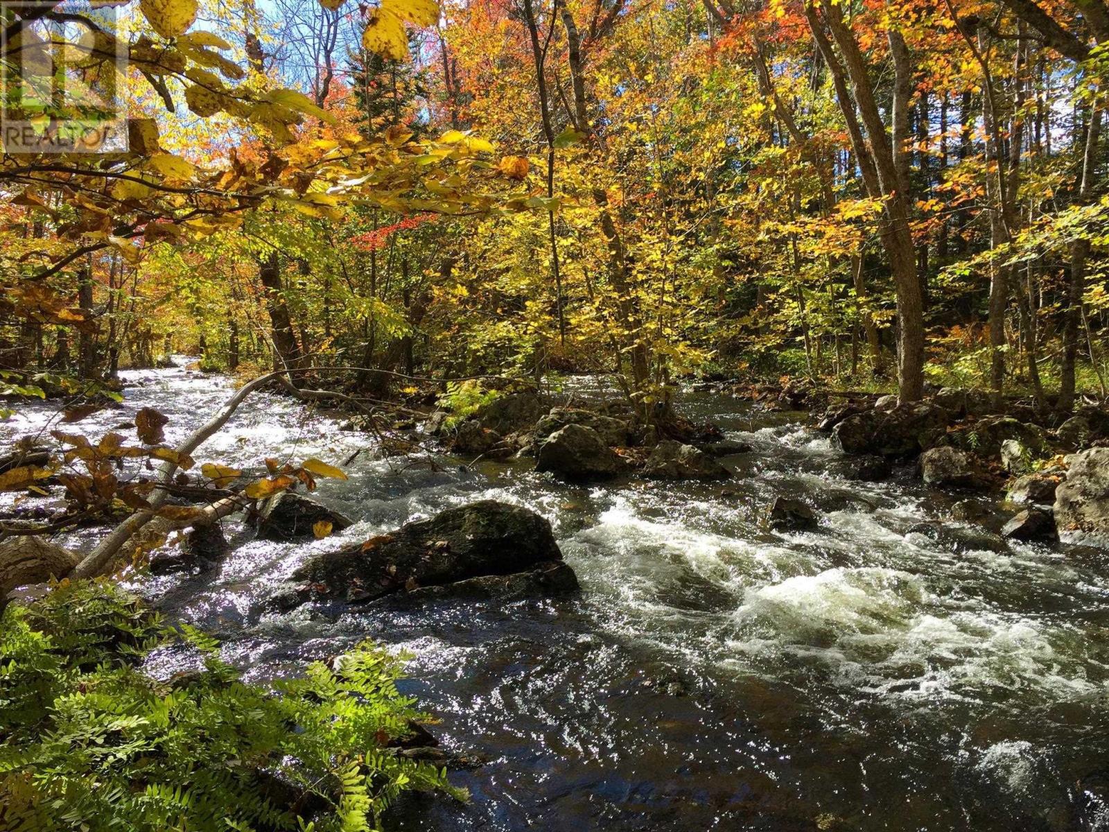 133 Bradford Place, Bedford, Nova Scotia  B4B 0R7 - Photo 44 - 202504758