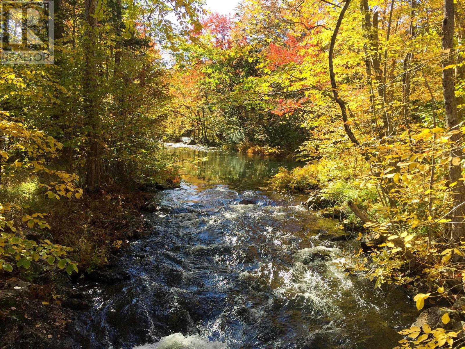 133 Bradford Place, Bedford, Nova Scotia  B4B 0R7 - Photo 45 - 202504758