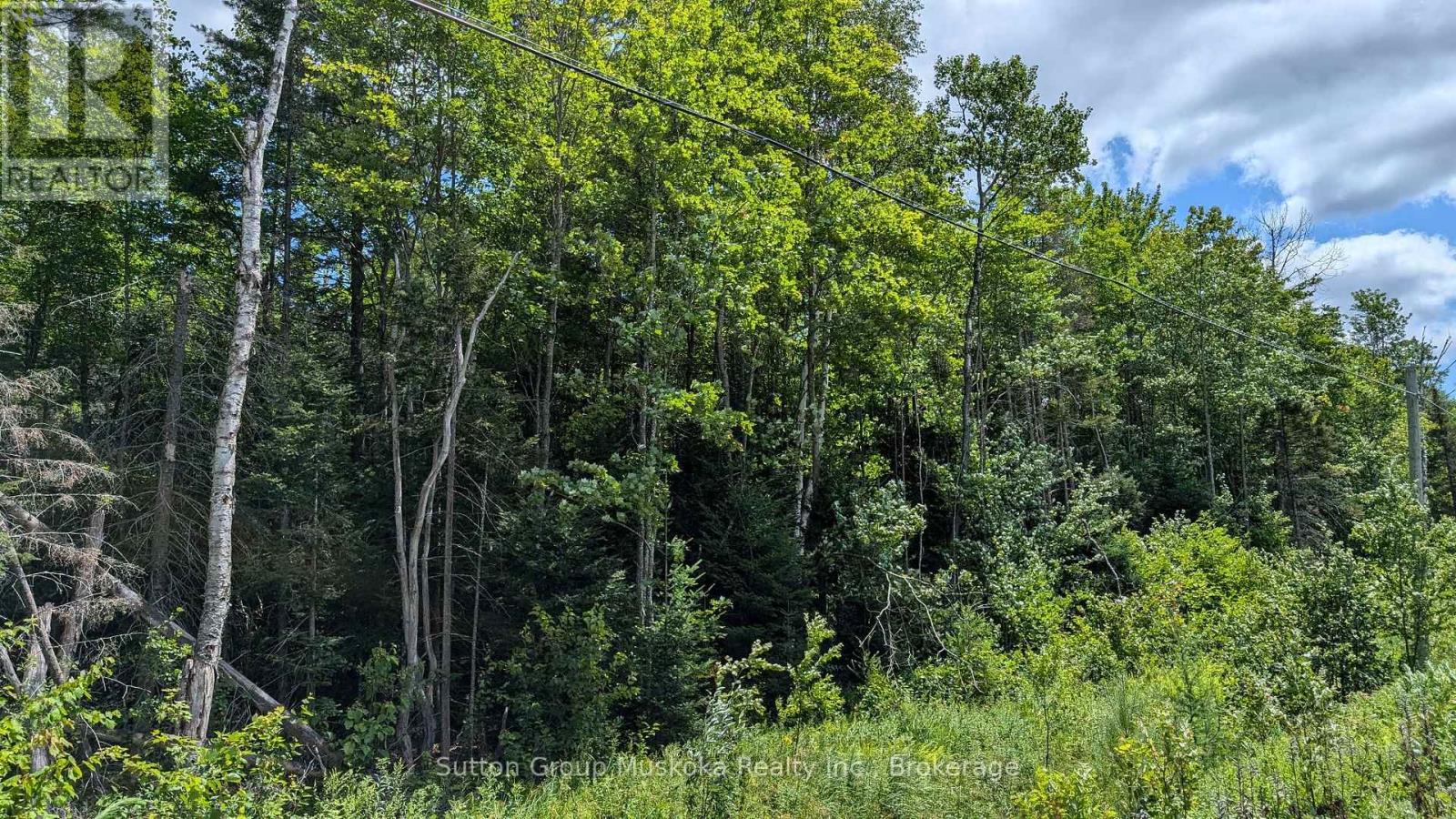 Lot 2 Berriedale Road, Armour, Ontario  P0A 1C0 - Photo 3 - X12016634