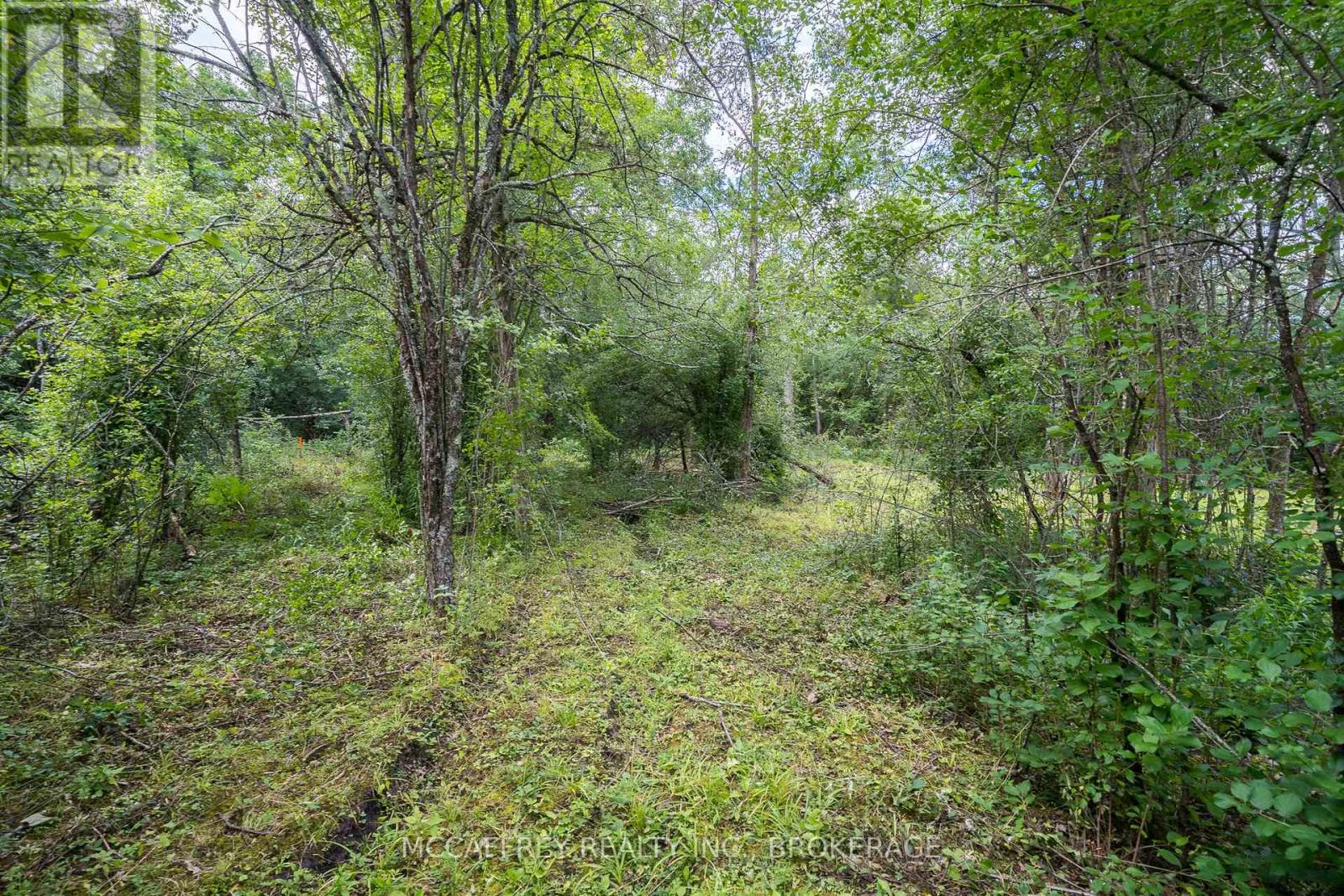 0 County Rd 9, Greater Napanee, Ontario  K7R 3K8 - Photo 24 - X12016768