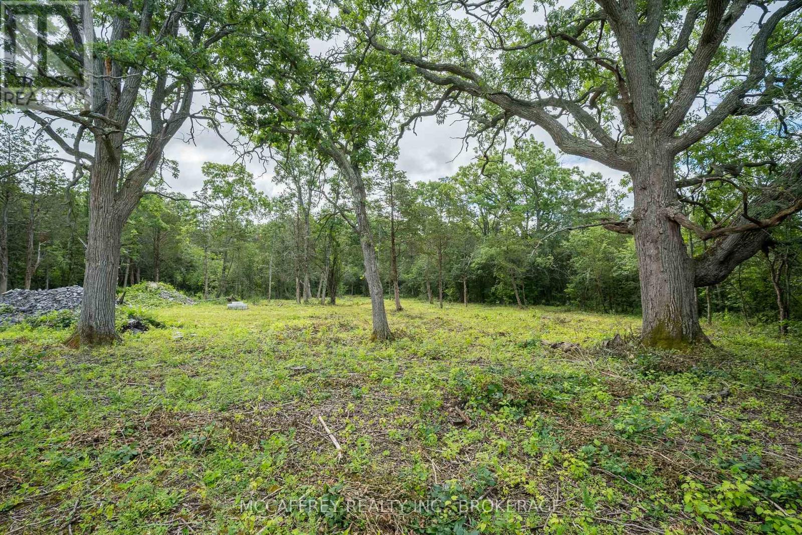 0 County Rd 9, Greater Napanee, Ontario  K7R 3K8 - Photo 27 - X12016768