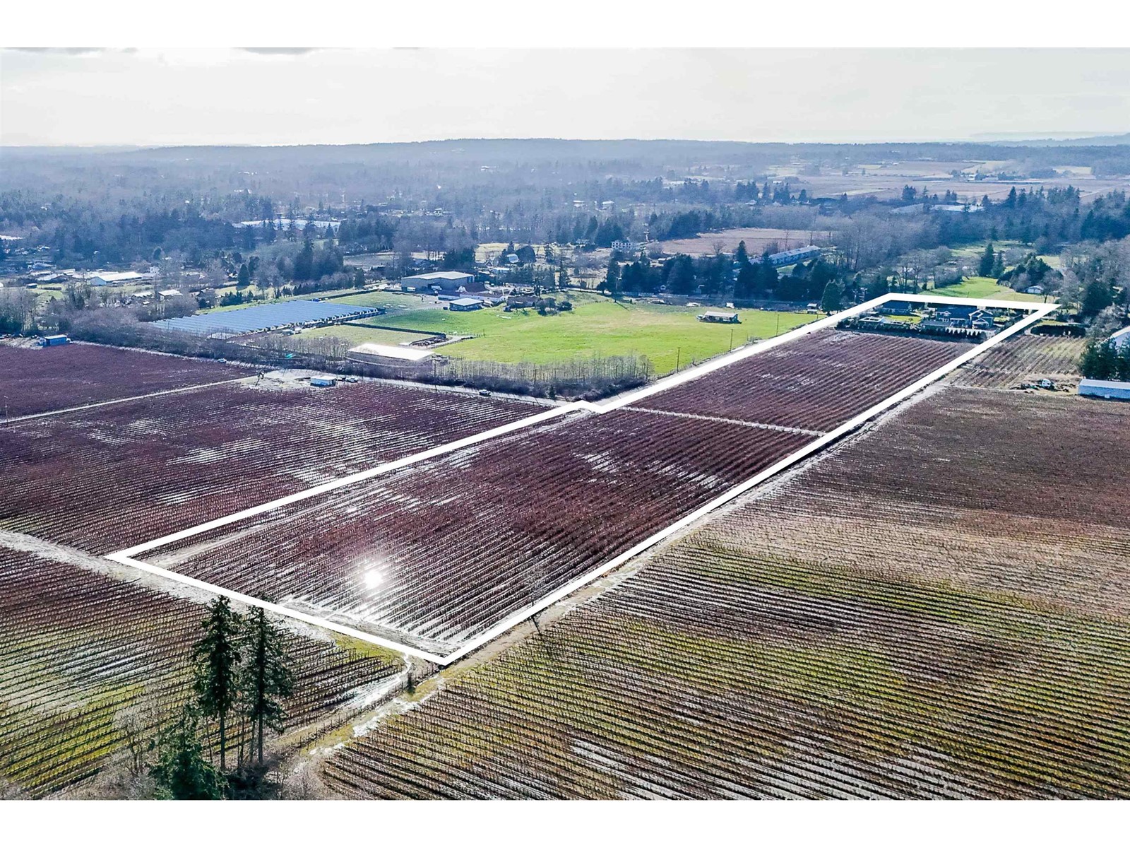2218 240 Street, Langley, British Columbia  V2Z 3A4 - Photo 32 - R2971504