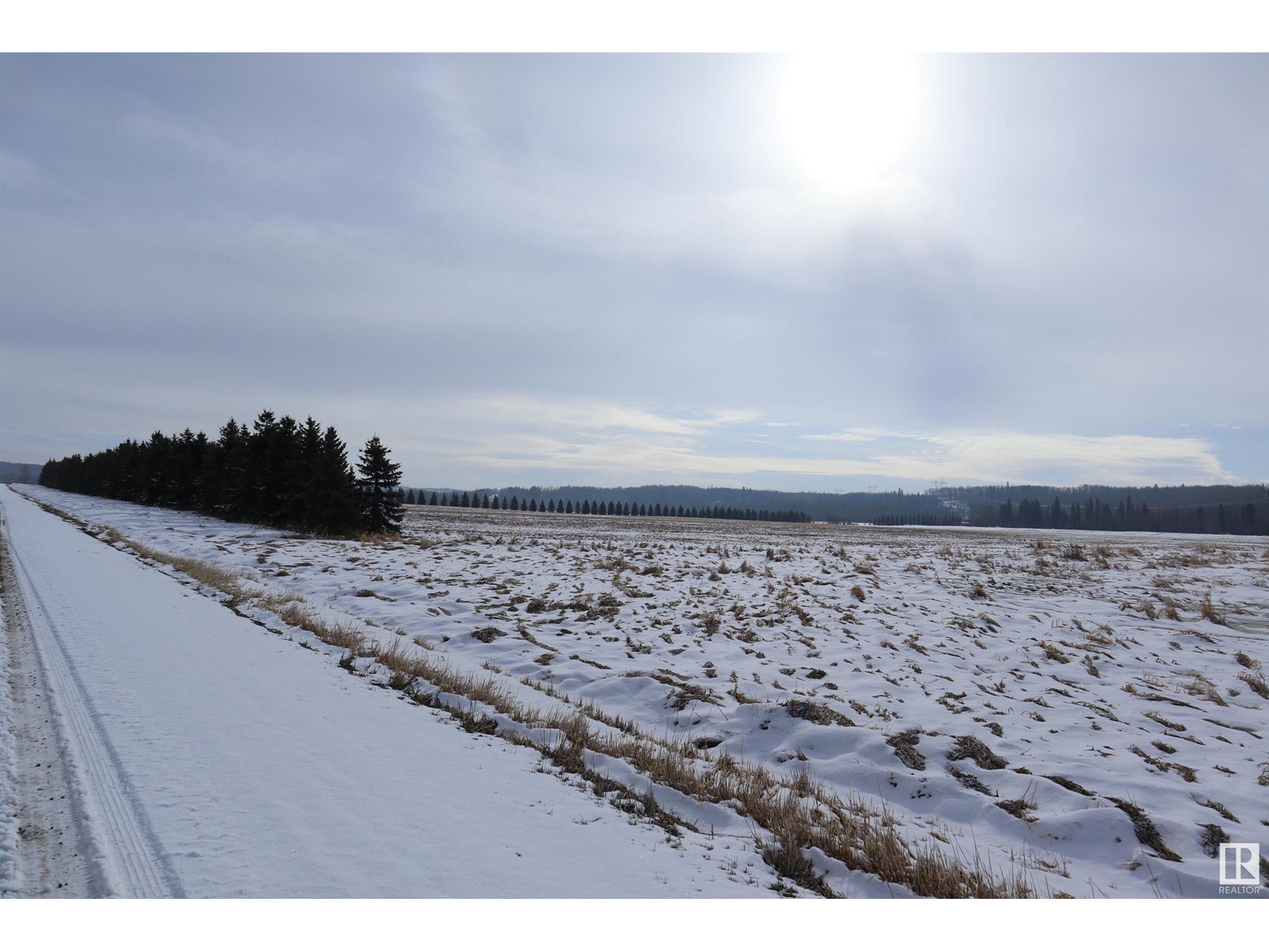 Se-14-51-3-5, Rural Leduc County, Alberta  T0C 2T0 - Photo 6 - E4425412