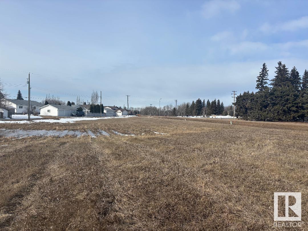 5201 Polomark Drive, Mundare, Alberta  T0B 3H0 - Photo 3 - E4425435