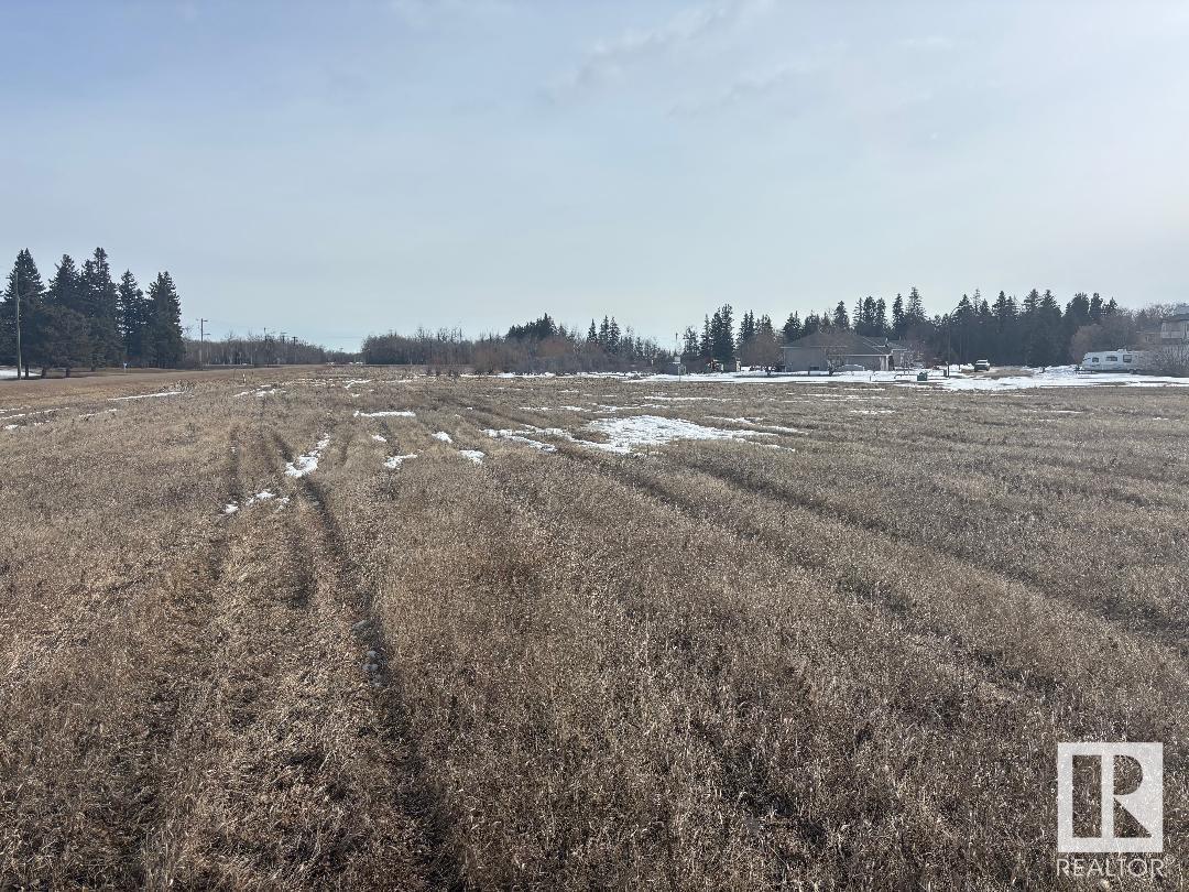5201 Polomark Drive, Mundare, Alberta  T0B 3H0 - Photo 4 - E4425435