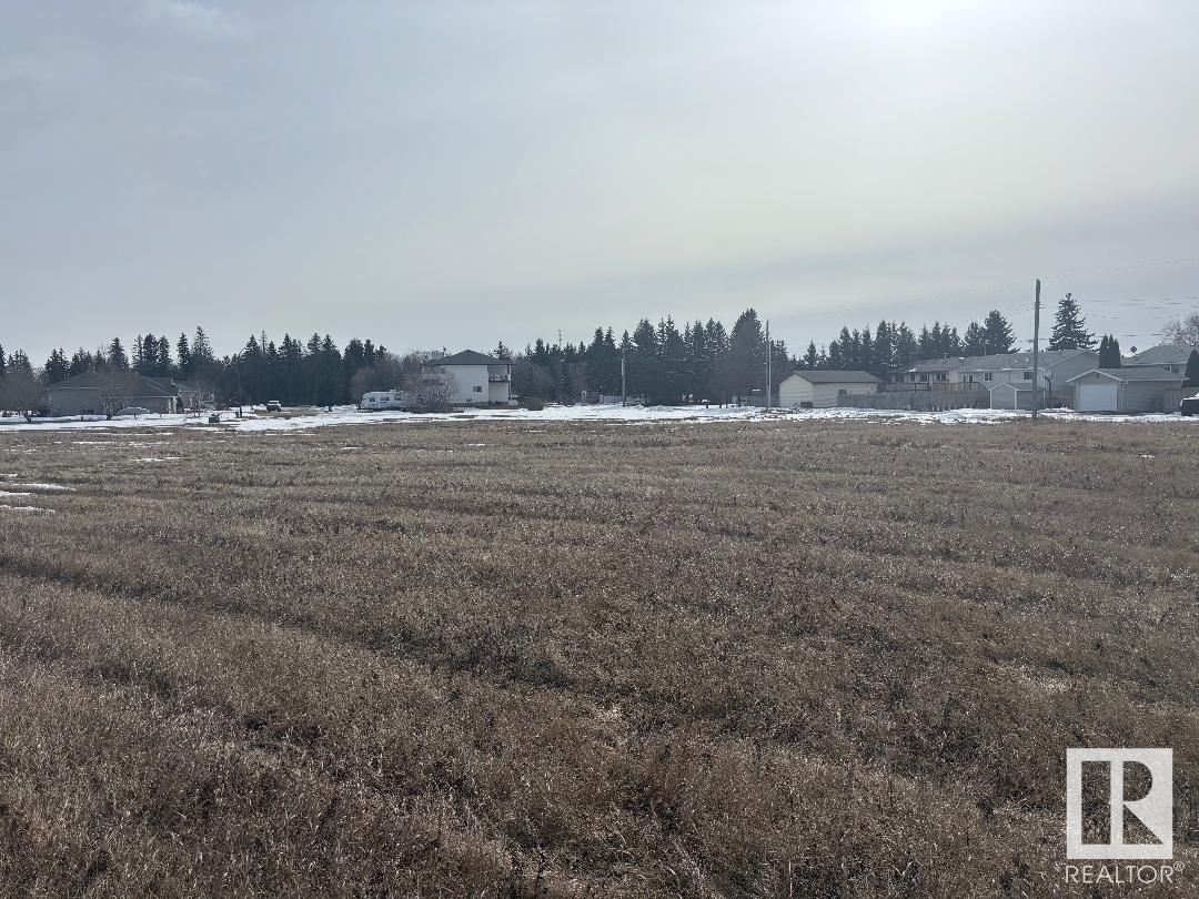 5201 Polomark Drive, Mundare, Alberta  T0B 3H0 - Photo 5 - E4425435