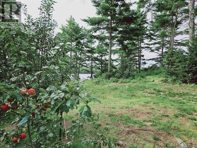 236 Canoe Lake Estates Road, East Quinan, Nova Scotia  B0W 2M0 - Photo 42 - 202504780