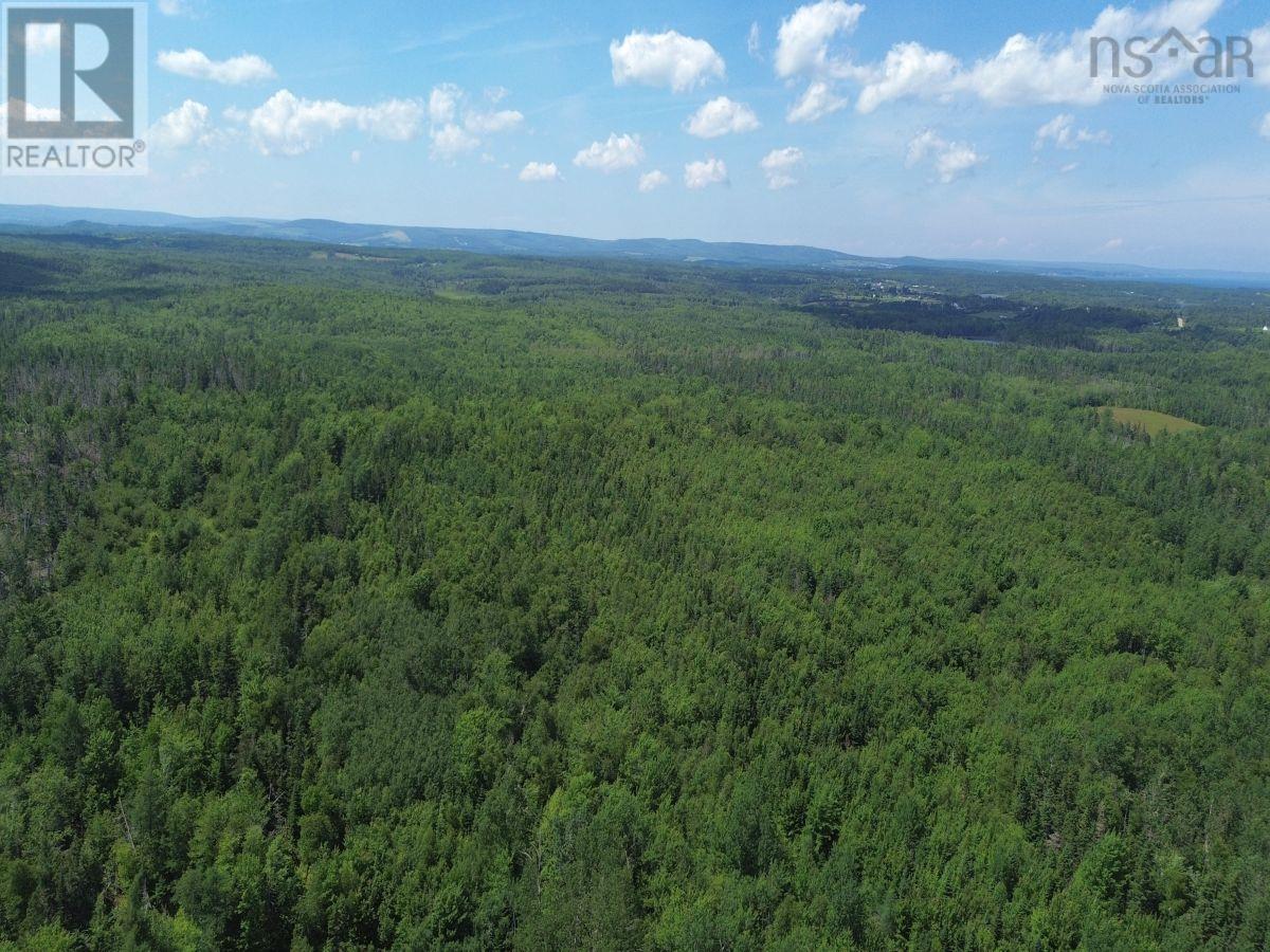 172 Melanson Road, Pomquet, Nova Scotia  B2G 2L4 - Photo 10 - 202502005