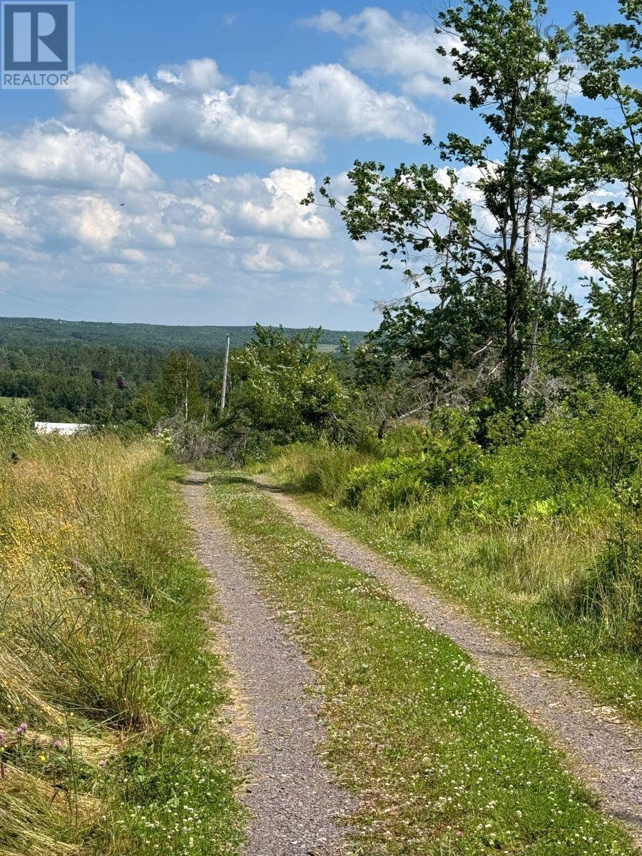 172 Melanson Road, Pomquet, Nova Scotia  B2G 2L4 - Photo 24 - 202502005