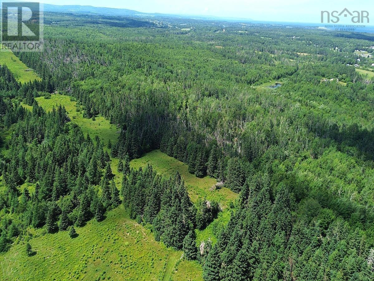 172 Melanson Road, Pomquet, Nova Scotia  B2G 2L4 - Photo 9 - 202502005