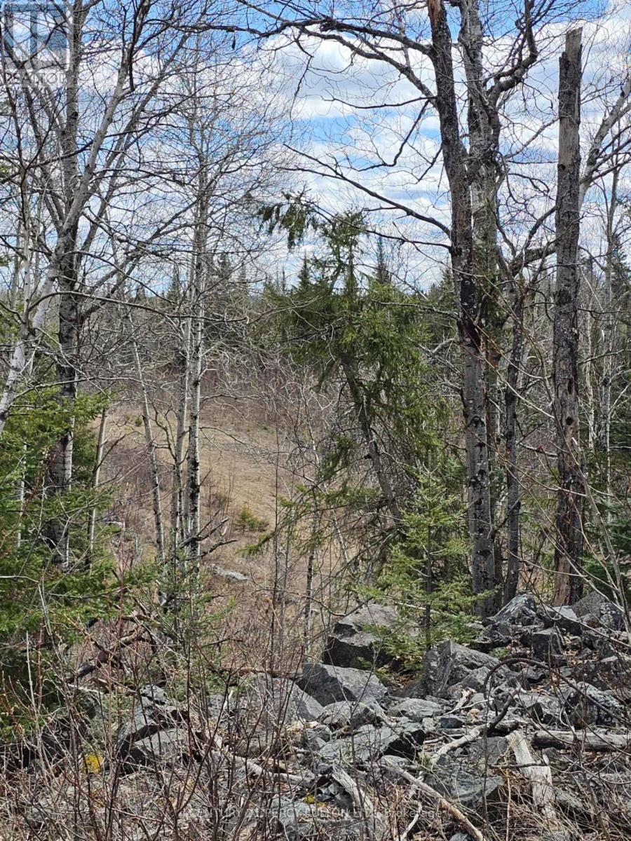 0 Dis Of Timiskaming Road, Kirkland Lake, Ontario    - Photo 8 - T12017200