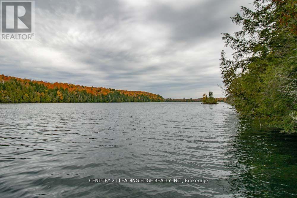 1056 Lippert Lane, Bancroft, Ontario  K0L 1C0 - Photo 6 - X12017346