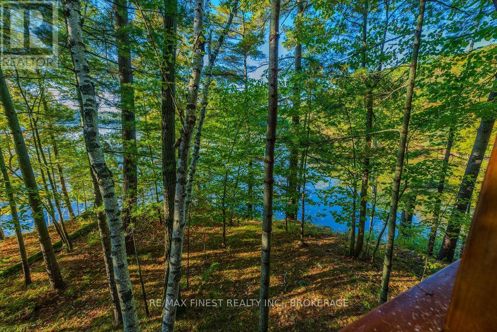 2305e Opinicon Road, Rideau Lakes, Ontario  K0G 1P0 - Photo 25 - X12017523