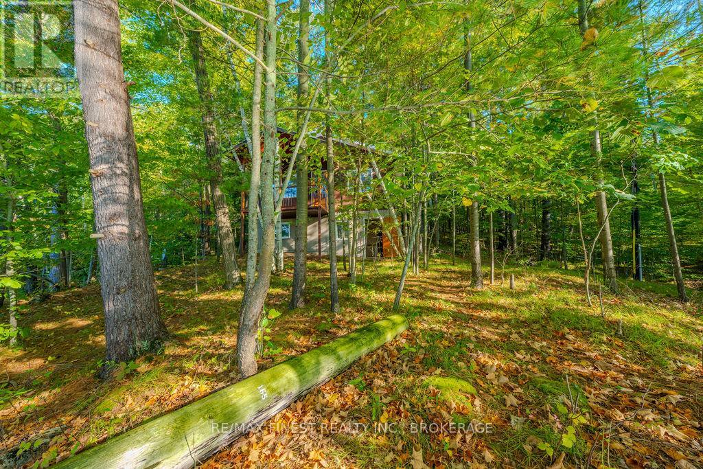 2305e Opinicon Road, Rideau Lakes, Ontario  K0G 1P0 - Photo 30 - X12017523
