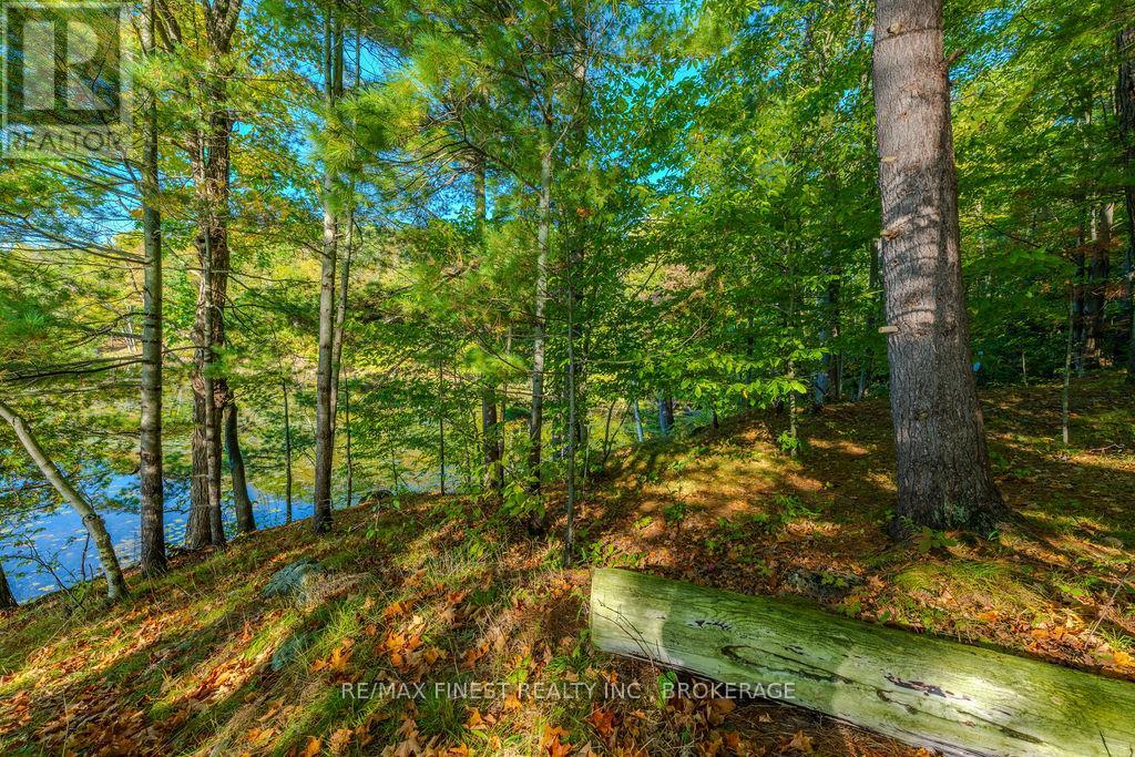 2305e Opinicon Road, Rideau Lakes, Ontario  K0G 1P0 - Photo 31 - X12017523