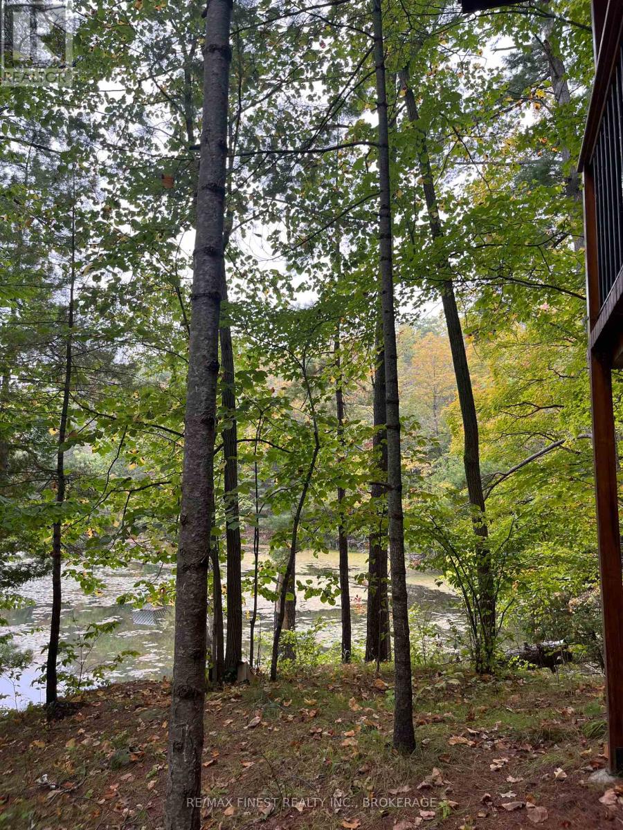 2305e Opinicon Road, Rideau Lakes, Ontario  K0G 1P0 - Photo 36 - X12017523