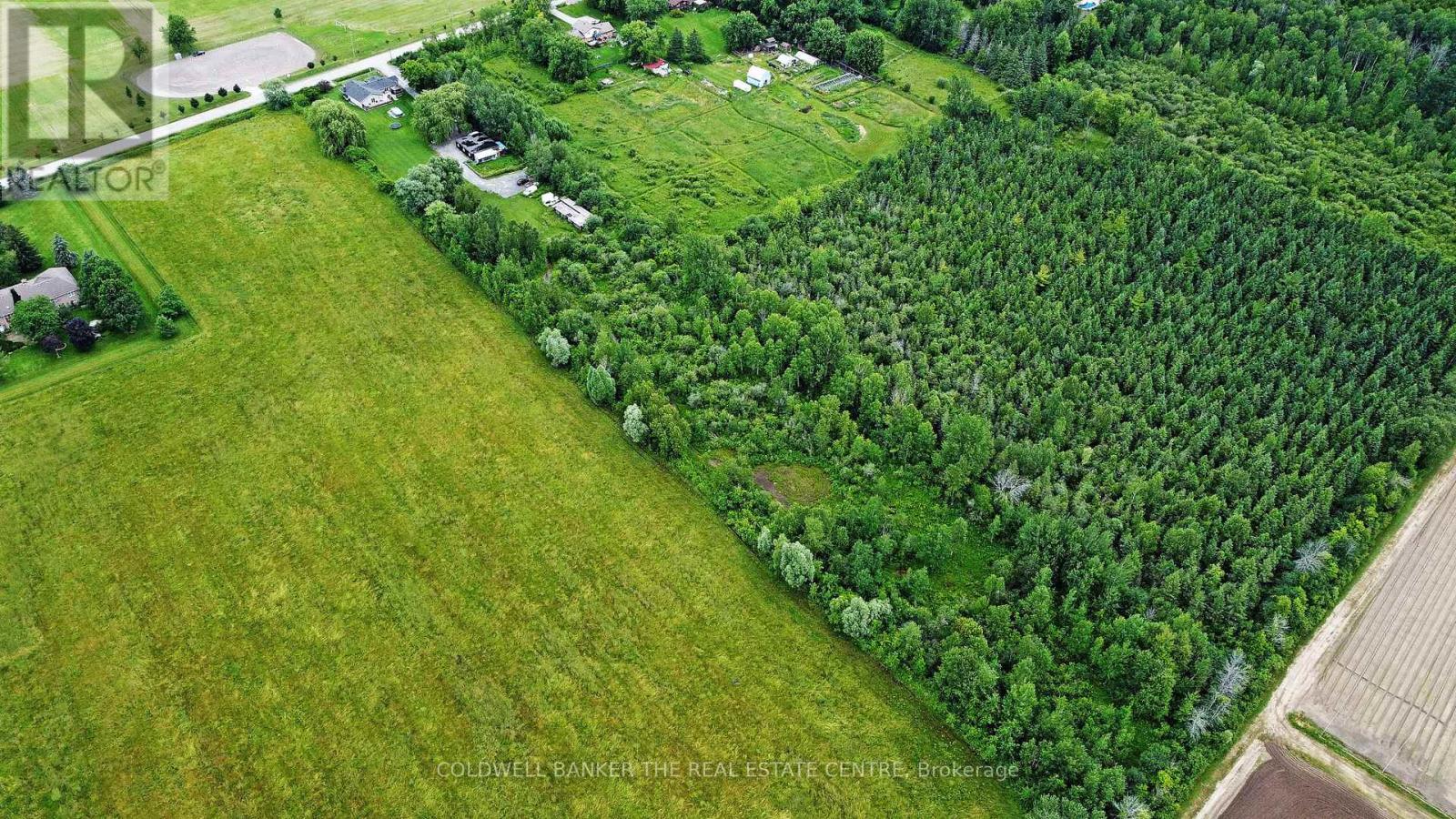 1109 Ravenshoe Road, East Gwillimbury, Ontario  L9P 1R2 - Photo 40 - N12017525
