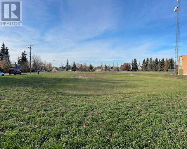 110 2 Avenue W, Rockyford, Alberta  T0J 2R0 - Photo 3 - A2174355