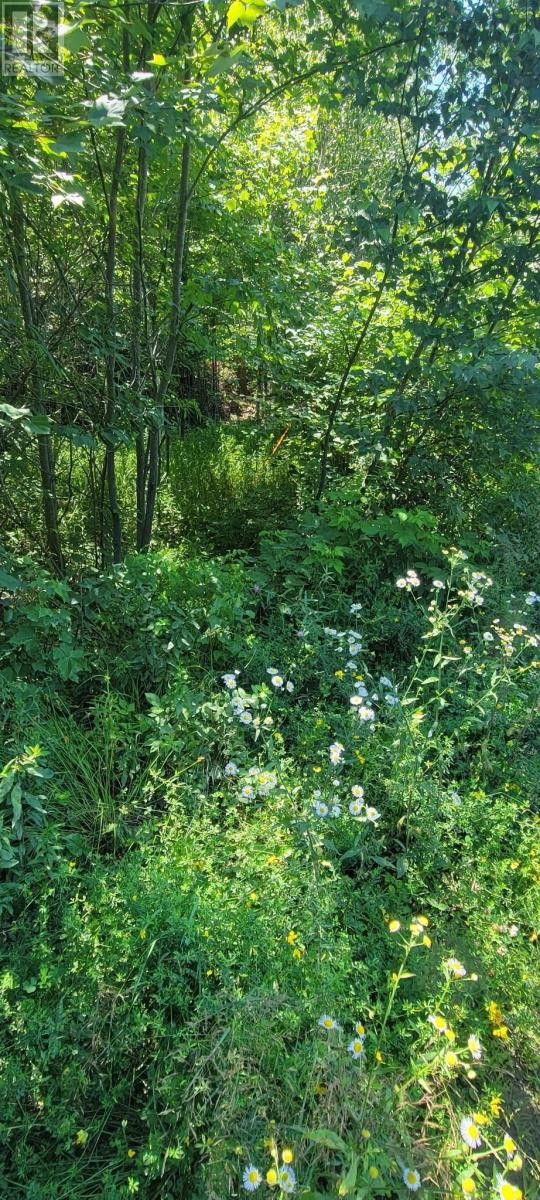 Lot 47 Bolivar Road, Waterloo, Nova Scotia  B4V 8L7 - Photo 2 - 202504798