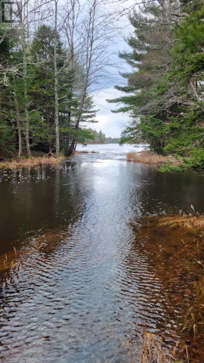 Lot 47 Bolivar Road, Waterloo, Nova Scotia  B4V 8L7 - Photo 3 - 202504798