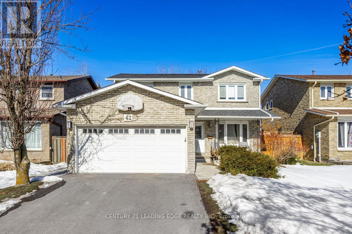 Bsmt - 42 Northampton Street, Brampton, Ontario  L6S 3Y7 - Photo 1 - W12017674