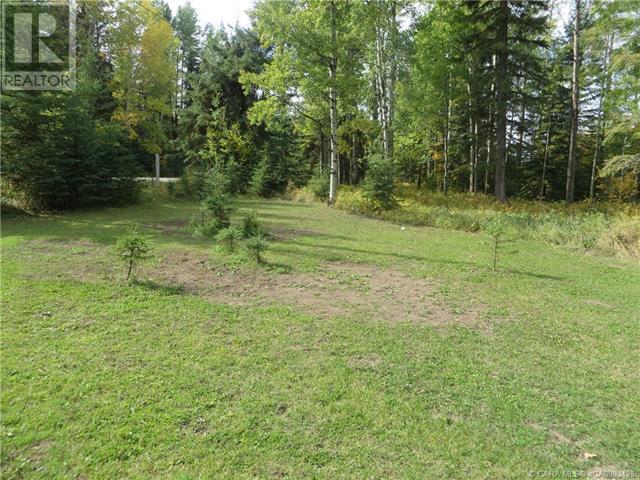 6312 47 Avenue, Rocky Mountain House, Alberta  T4T 1G3 - Photo 23 - A2117827