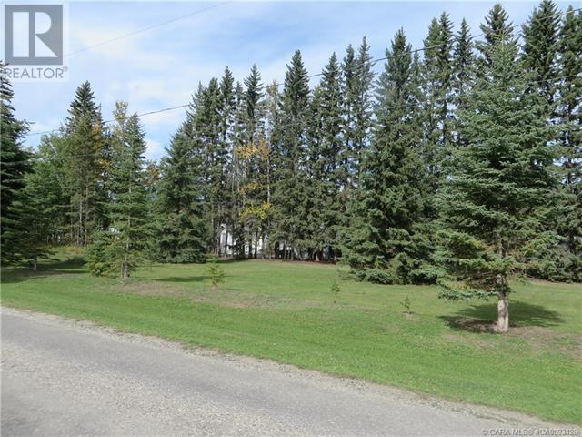 6312 47 Avenue, Rocky Mountain House, Alberta  T4T 1G3 - Photo 26 - A2117827