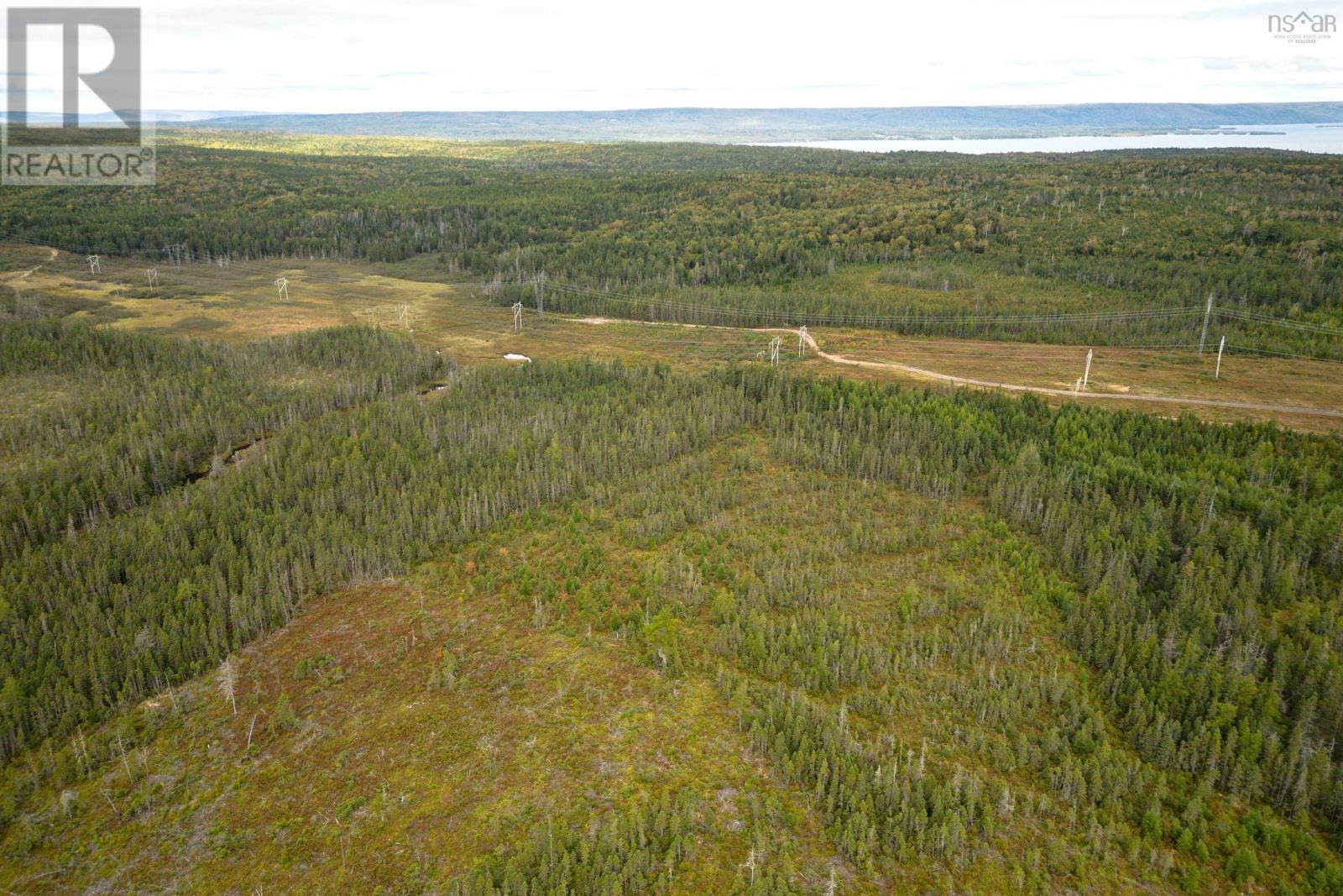 44 Acres Rear Black River Road, Grande Anse, Nova Scotia  B0E 3K0 - Photo 10 - 202426605