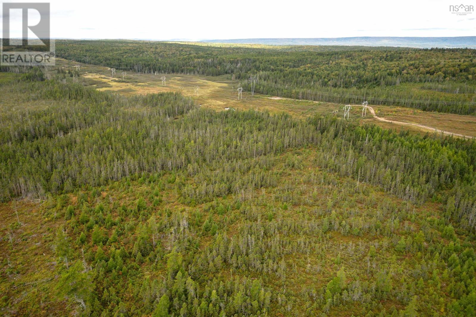 44 Acres Rear Black River Road, Grande Anse, Nova Scotia  B0E 3K0 - Photo 11 - 202426605