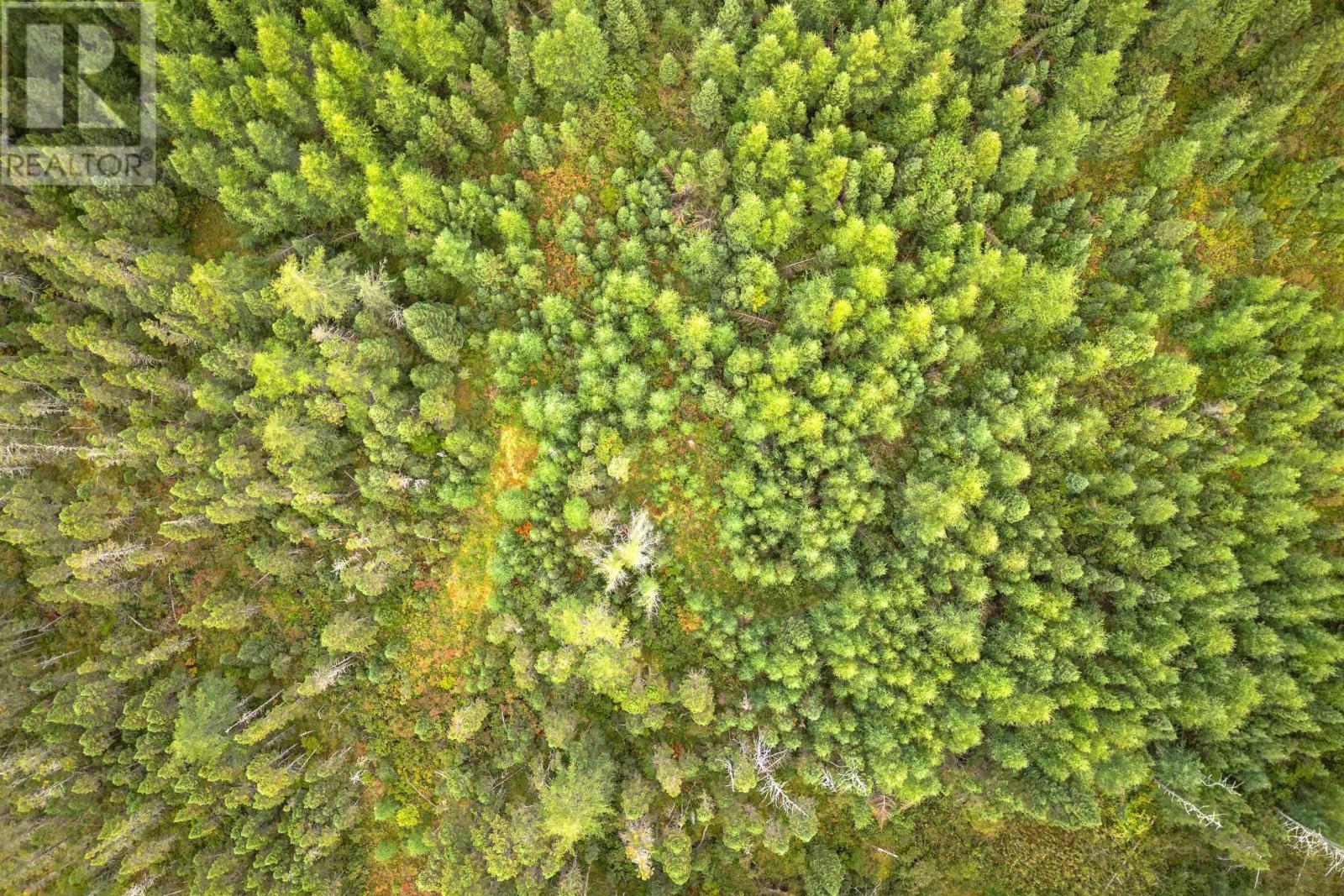 44 Acres Rear Black River Road, Grande Anse, Nova Scotia  B0E 3K0 - Photo 14 - 202426605